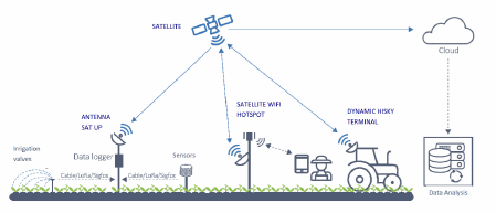 agriculture-satellite.gif